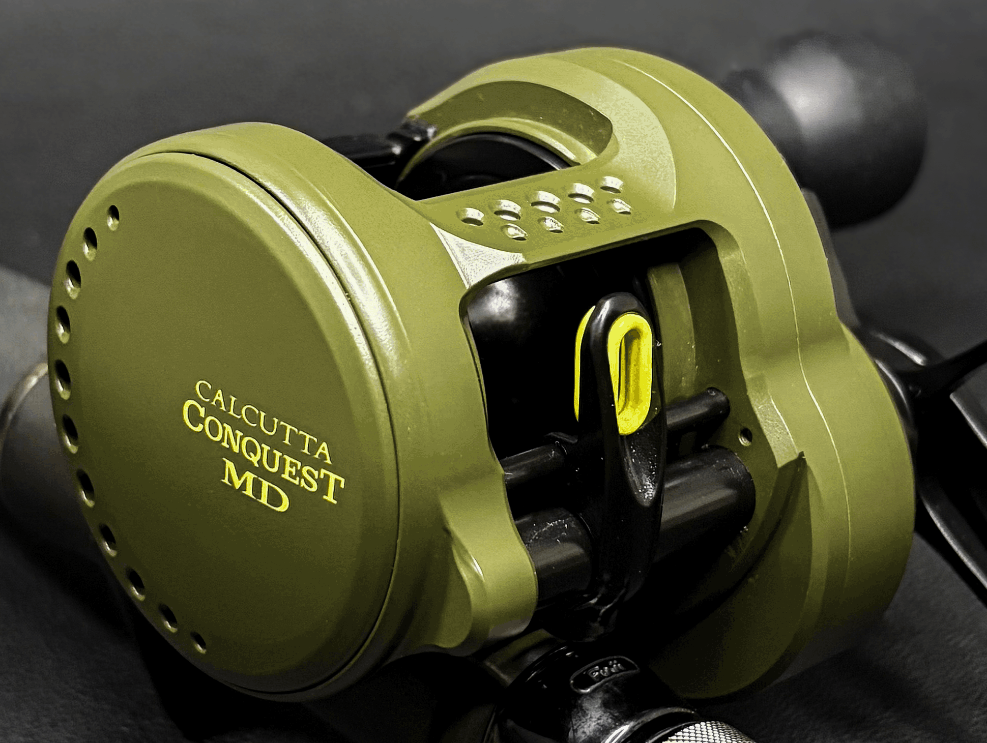 Shimano Calcutta 301XGLH photo 1
